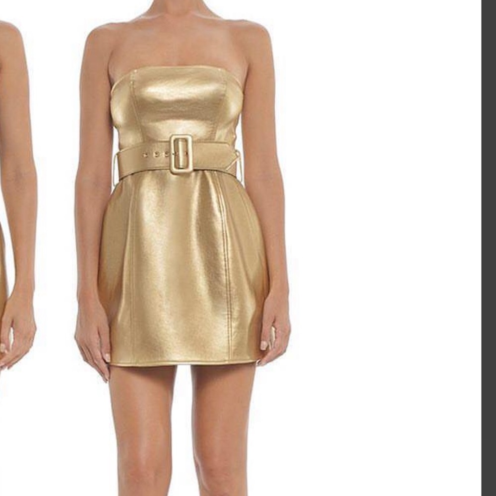 Misha Jessie Mini Dress